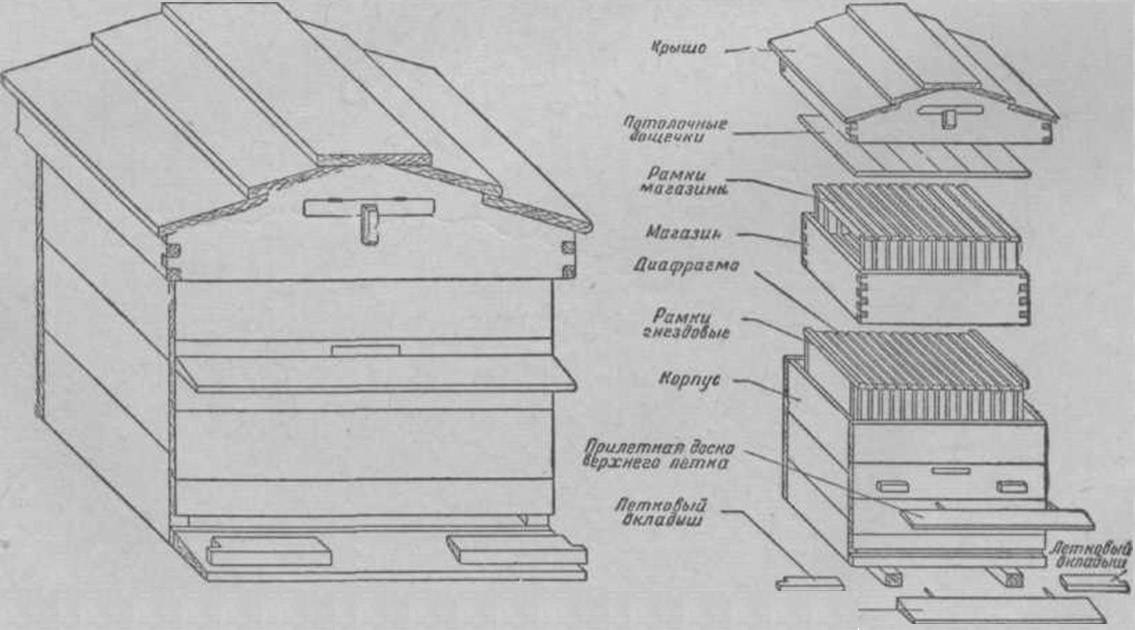 Улей озерова: описание, пчеловодство,основной принцип,как сделать своими руками,чертеж и изготовление