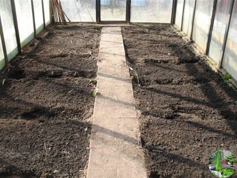 Подготовка почвы для огурцов в теплице весной: какую землю любят, чем ее обработать