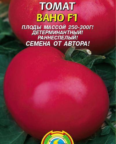 Низкорослые крупноплодные томаты для открытого грунта