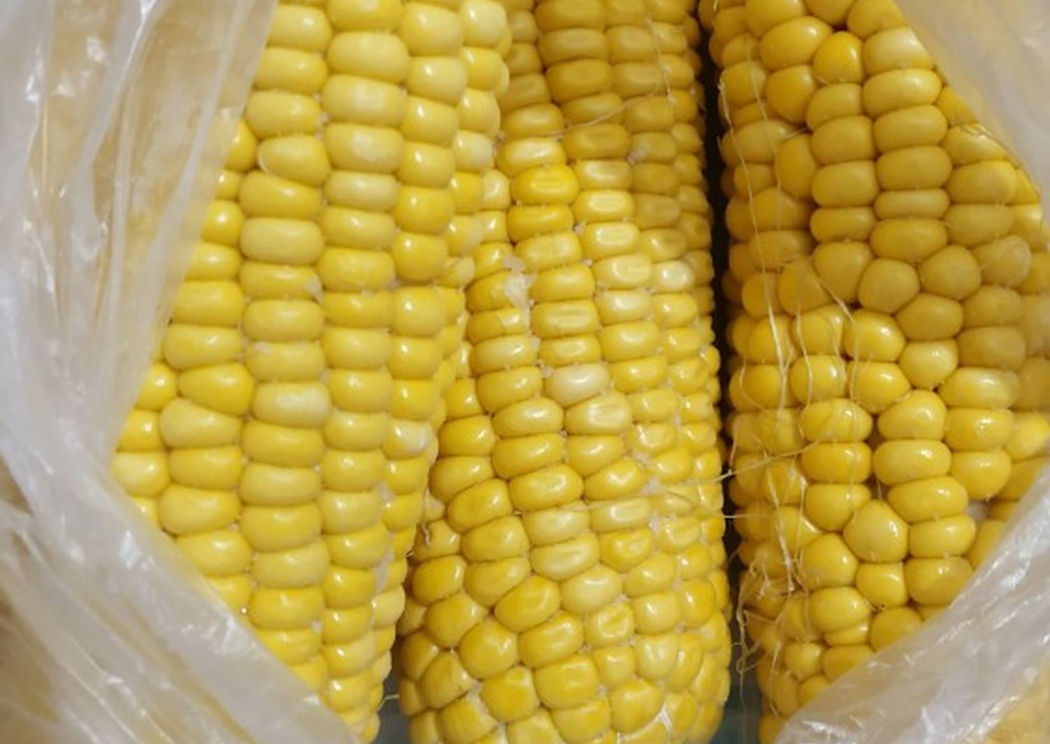 Кукуруза на зиму в домашних условиях без стерилизации