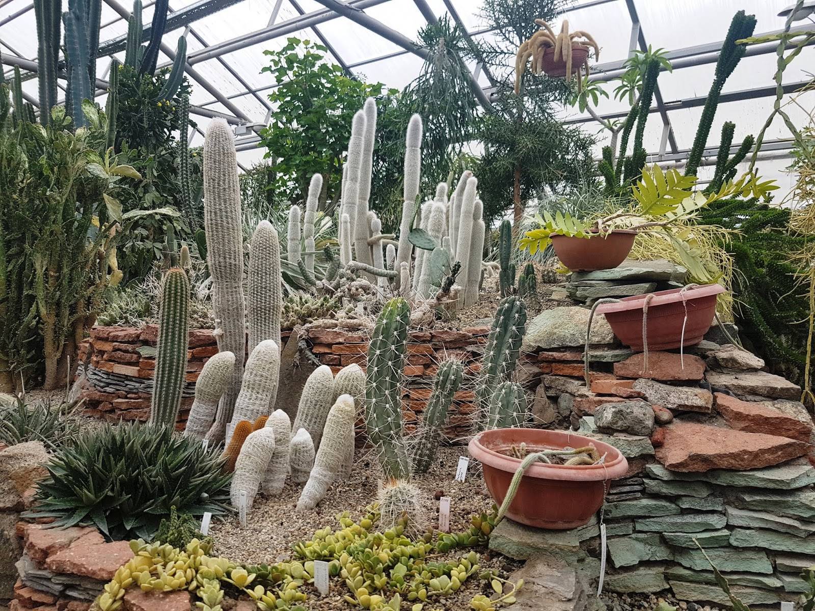 Ботанический сад в самаре фото