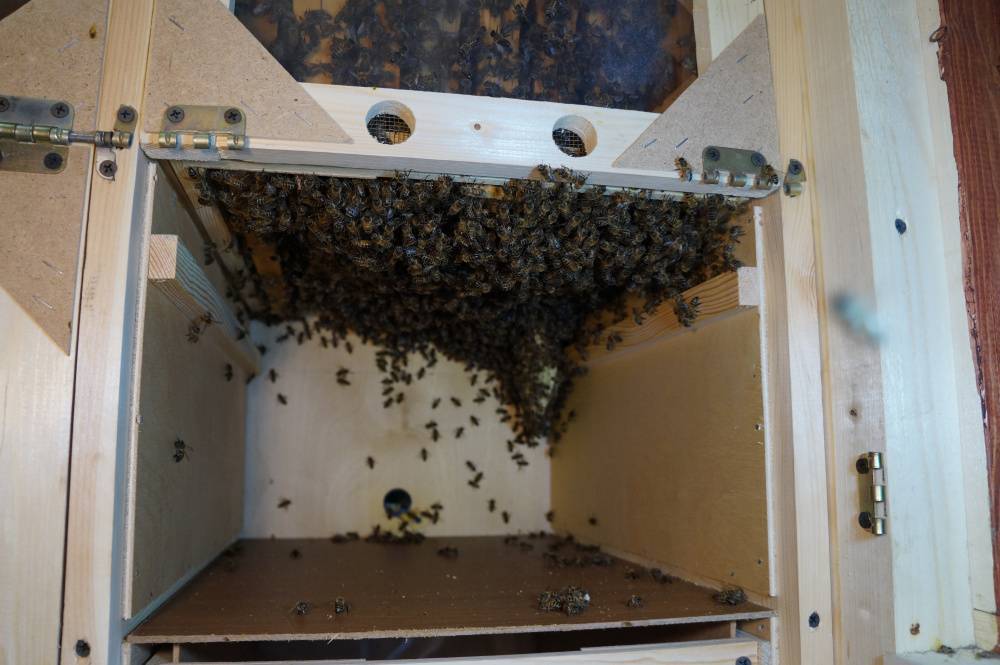 Павильон для пчел, как сделать?