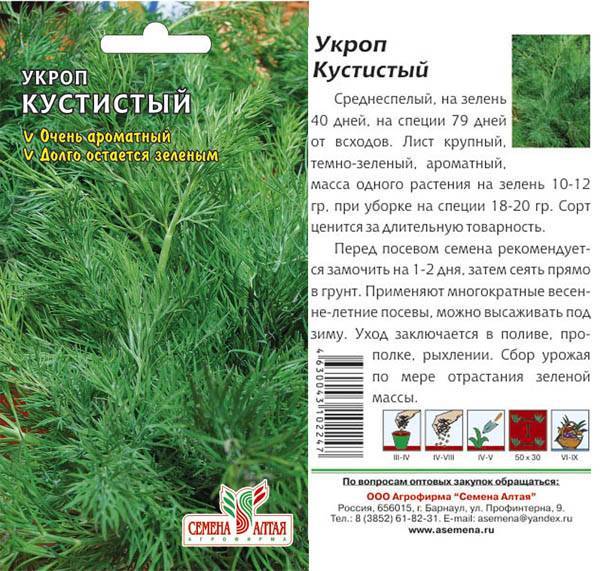 Кустовой укроп: популярные сорта с подробным описанием и фото, особенности выращивания зелени и отзывы