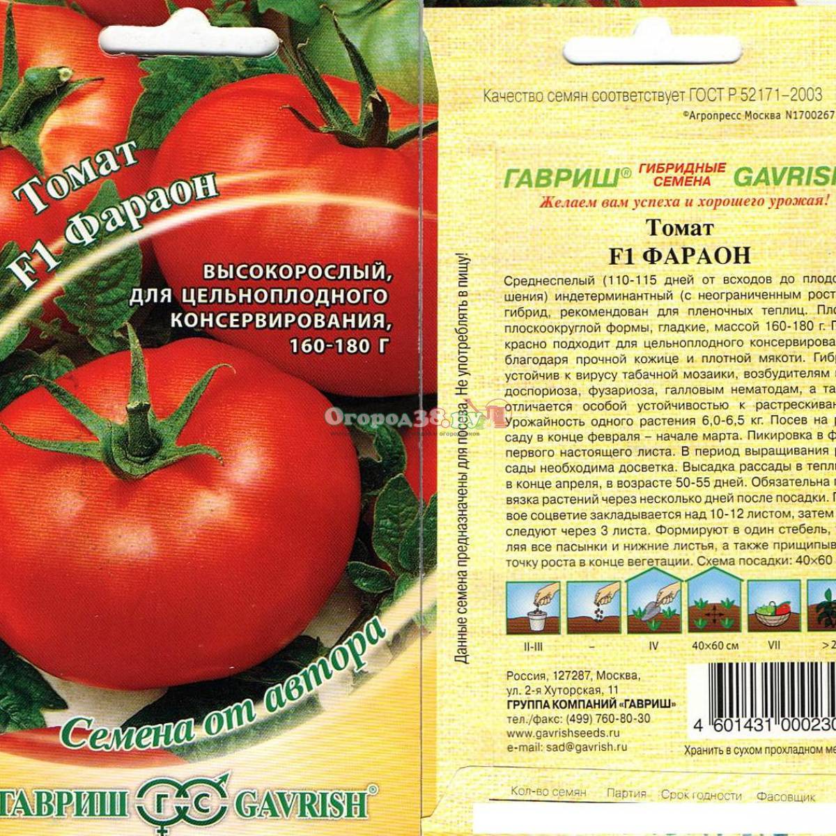 Лучшие сорта высокорослых томатов