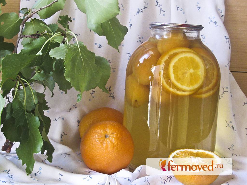 Компот мохито из абрикосов, апельсина, мяты и лимона на зиму: простой рецепт без стерилизации