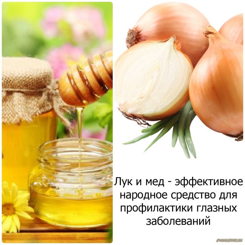Лук с медом или сахаром и молоко с луком - рецепты от кашля :: гбуз мо коломенская црб