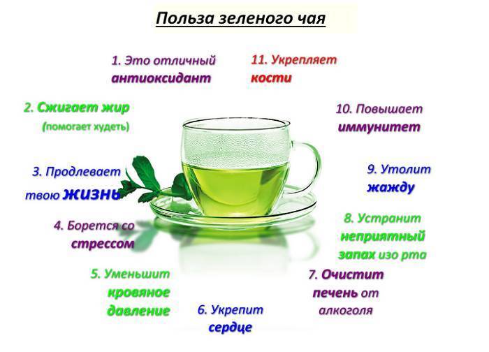 Польза зеленого чая для организма человека