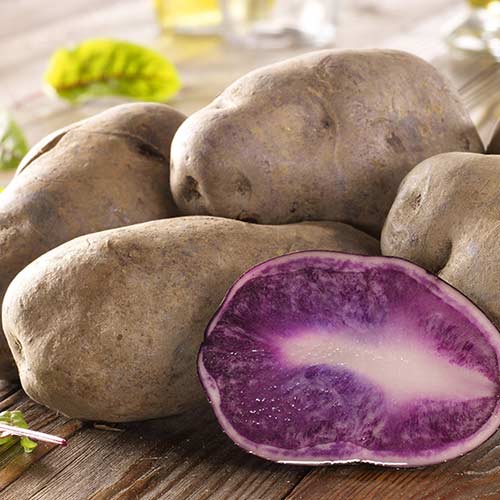 Синяя картошка — полезные свойства и вред | польза и вред