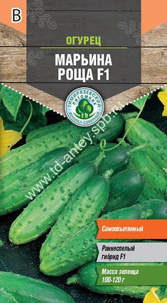 Огурец марьина роща f1: отзывы тех, кто выращивал, обзор преимуществ и недостатков, алгоритм выращивания