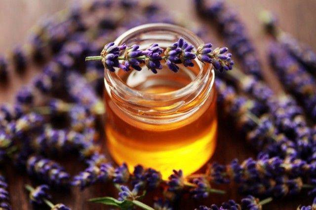 Лавандовый мед свойства и противопоказания
