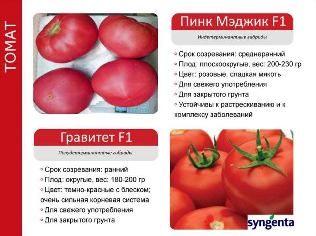 Детерминантные и индетерминантные томаты: в чем разница?