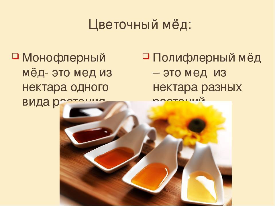 Как выбрать качественный мёд: о чём спросить производителя? • imorganic
