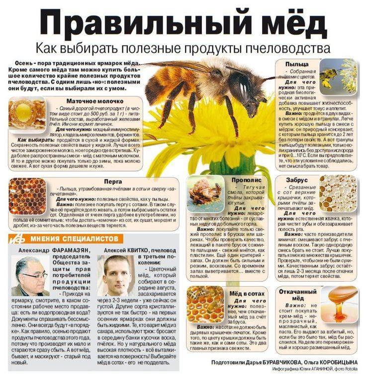 Продукты пчеловодства и их использование человеком: какие бывают, применение