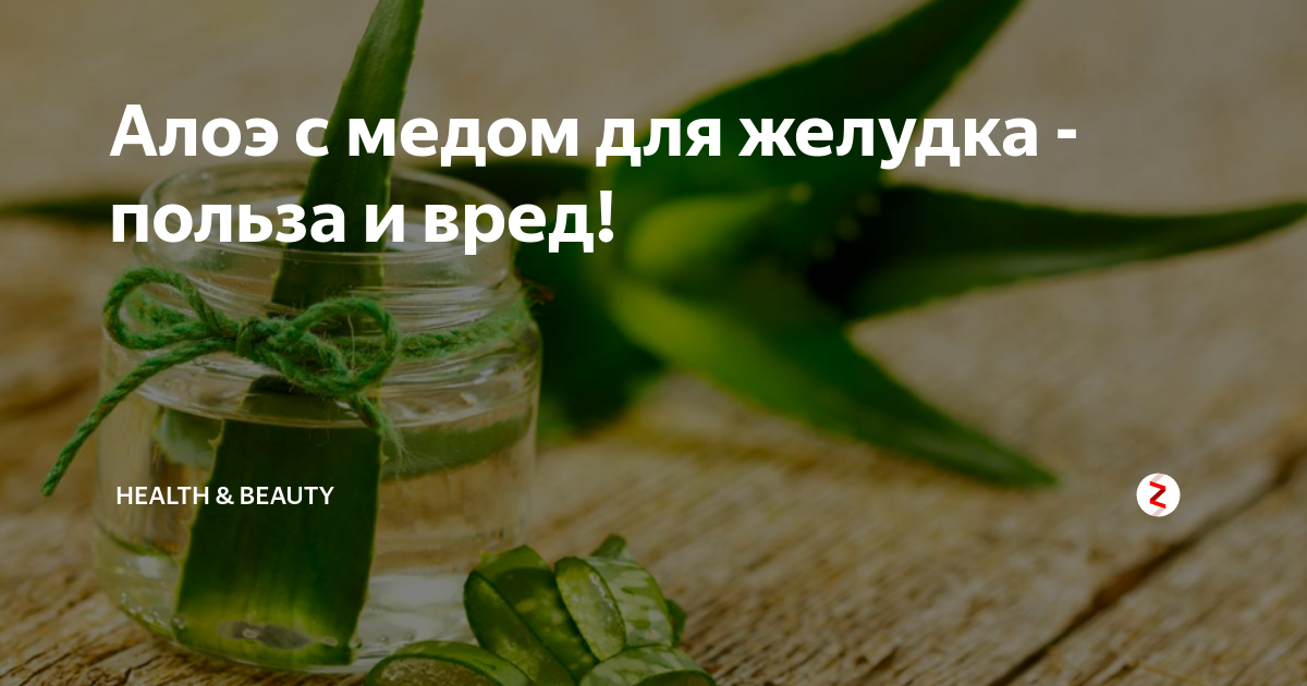 Алое и мед для желудка: лечение, лекарственные свойства - medboli.ru