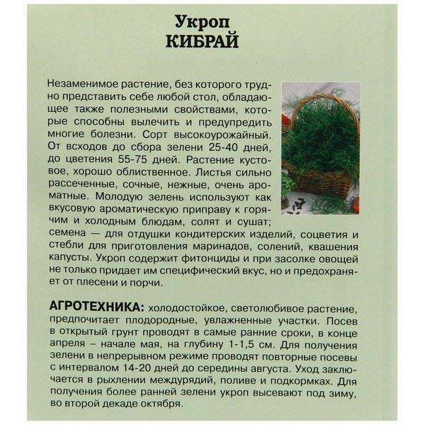 Кустовой укроп: описание сортов и особенности выращивания на зелень с фото