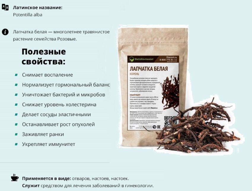 Лапчатка белая описание и фото на supersadovnik.ru