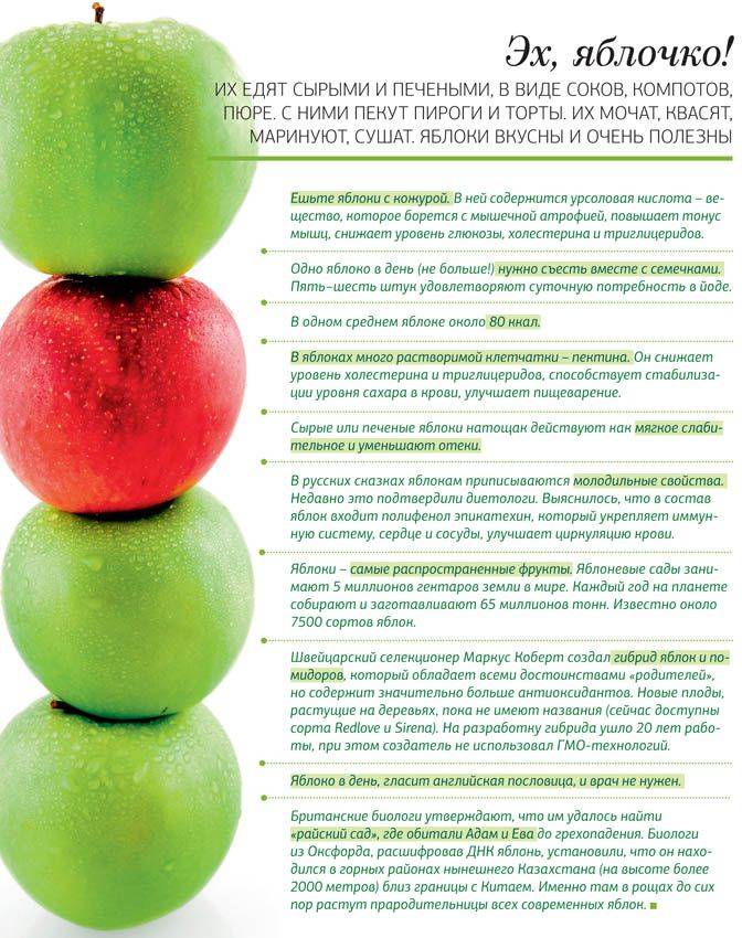 11 удивительных полезных свойств зеленых яблок