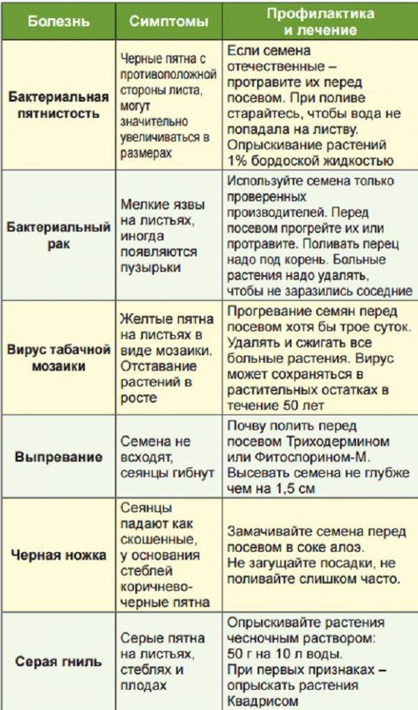 Мозаика на огурцах: что это такое, виды, лечение, профилактика, фото – zelenj.ru – все про садоводство, земледелие, фермерство и птицеводство