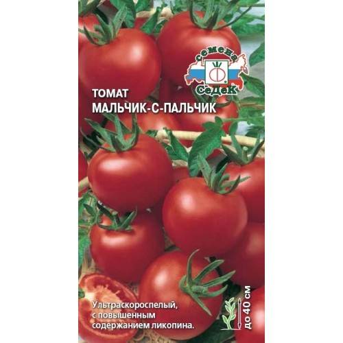 Томат чудо-пальчики: описание сорта, отзывы, фото, урожайность | tomatland.ru