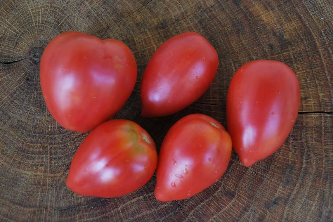 розовые семена томатов