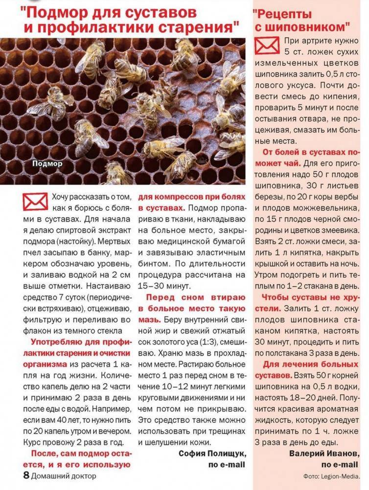 Настойка пчелиного подмора на спирту для суставов: как приготовить и применять, отзывы: лечение, симптомы, профилактика, сдать анализы | гуз "больница № 18"