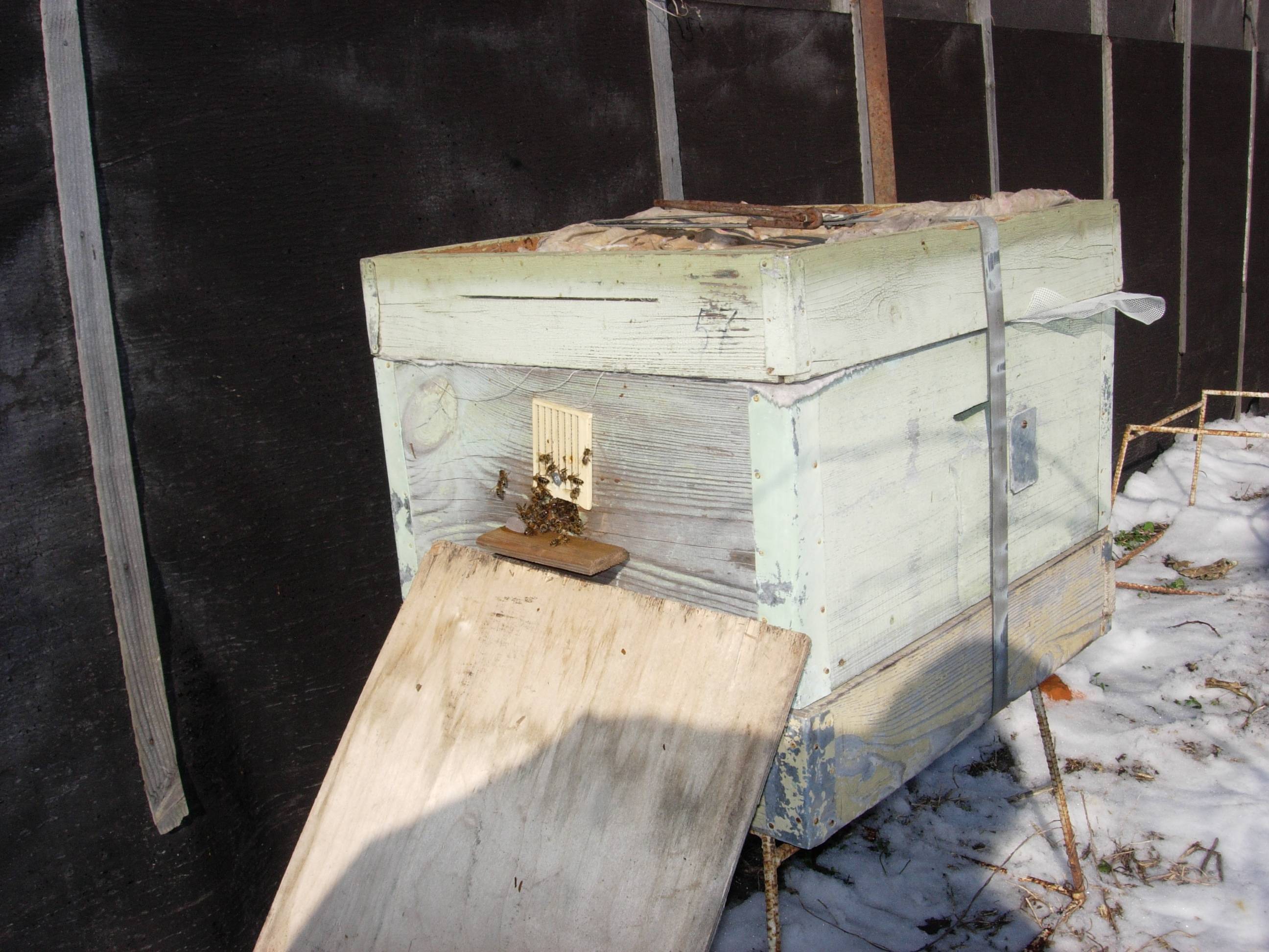 Основные требования к зимовнику для пчел: подсказки и советы пчеловодам