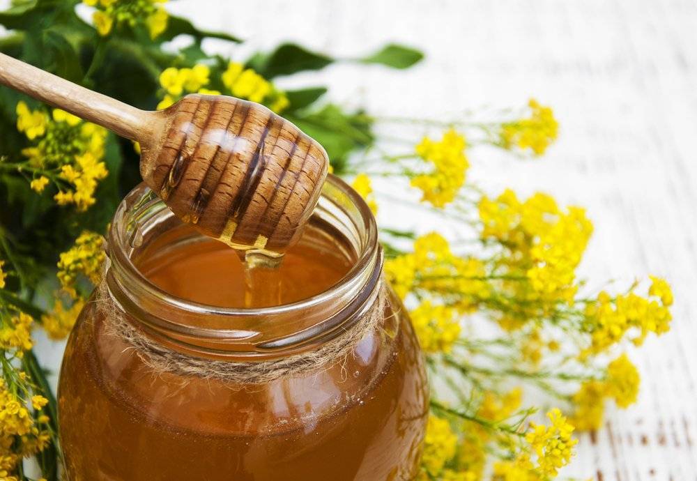 Рапсовый мед польза и вред