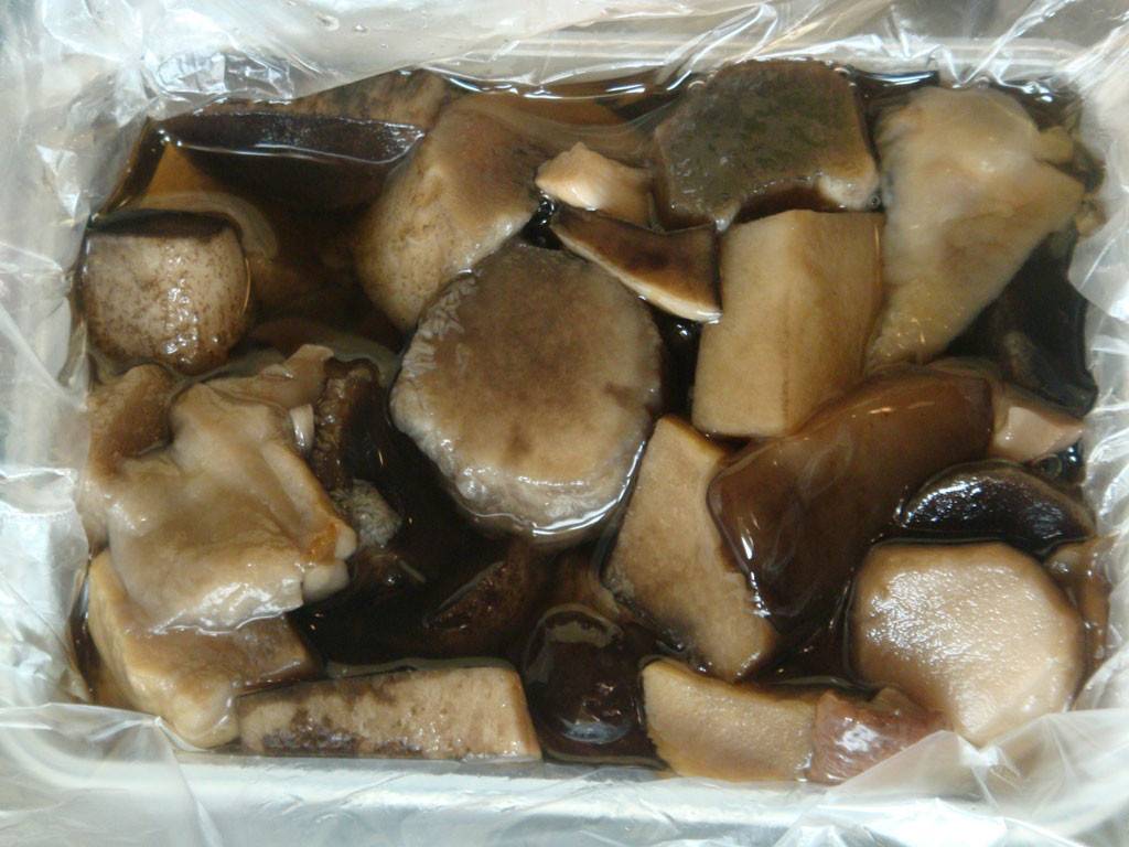 Как правильно заморозить грибы на зиму в домашних условиях? заморозка грибов сырыми или вареными