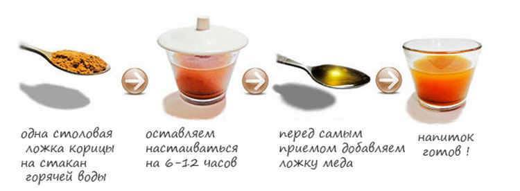 Корица с медом: рецепты для похудения и не только