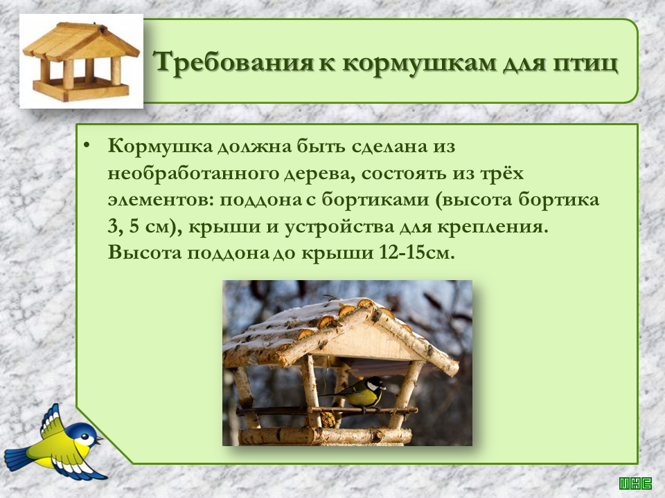 Творческий проект по технологии 6 класс для мальчиков кормушка для птиц