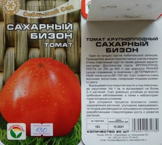 Томат сахарный бизон — тепличный сорт помидоров. описание и особенности агротехники