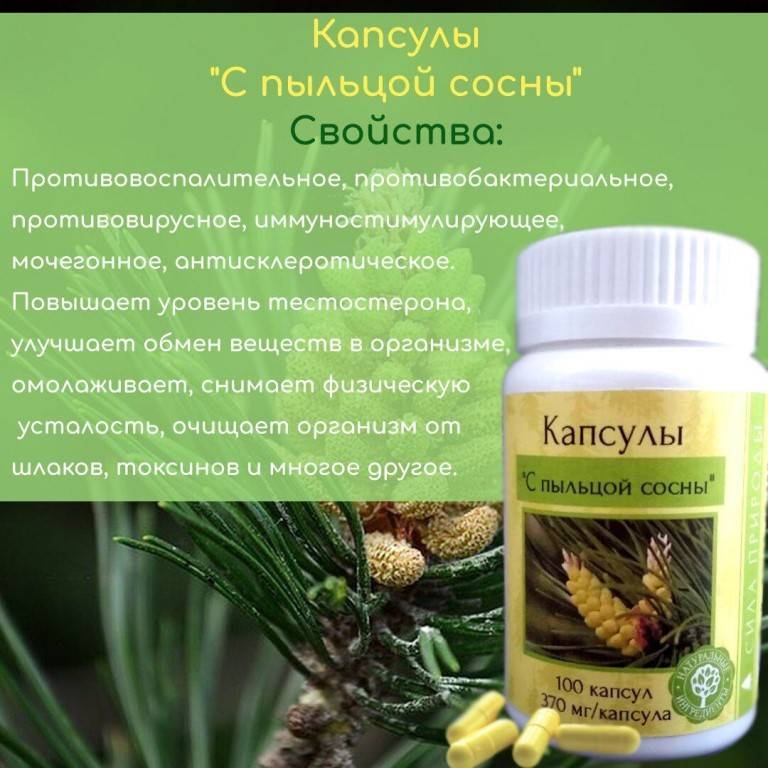Полезные свойства и противопоказания сосновой пыльца | parnas42.ru