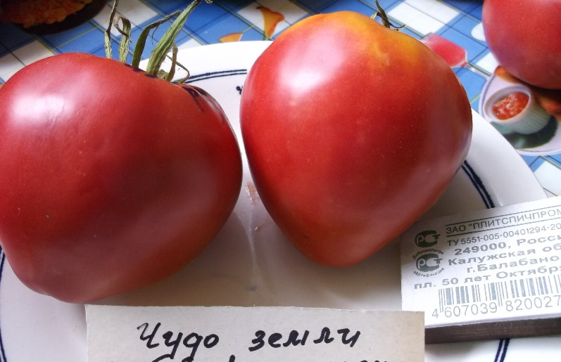 Характеристика и описание сорта томатов «чудо земли»: преимущества и недостатки, особенности выращивания, отзывы огородников