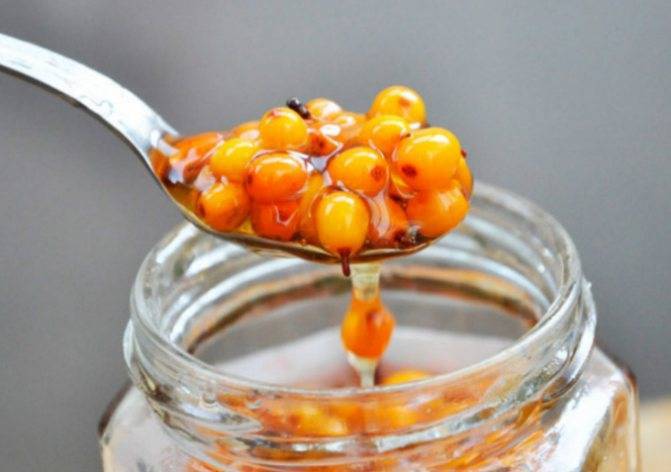 Облепиха с медом на зиму без варки: лучшие рецепты и рекомендации по приготовлению