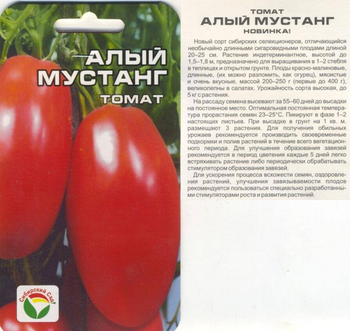 Характеристика томата Алый мустанг и выращивание рассадным методом