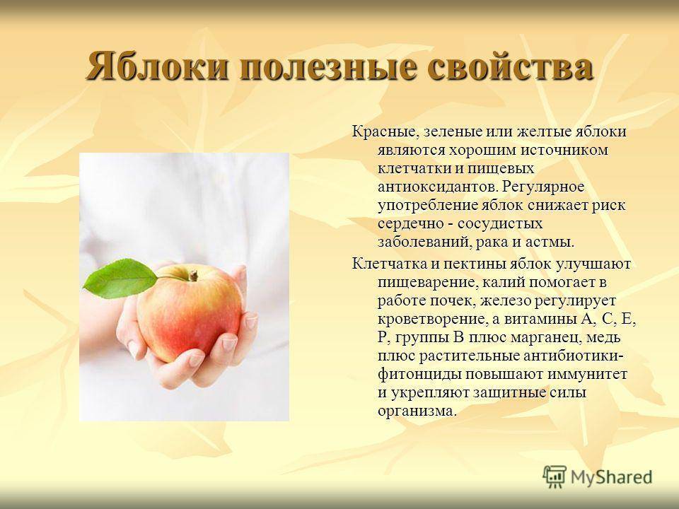 Лечебные свойства яблок (рецепты) | на всякий случай