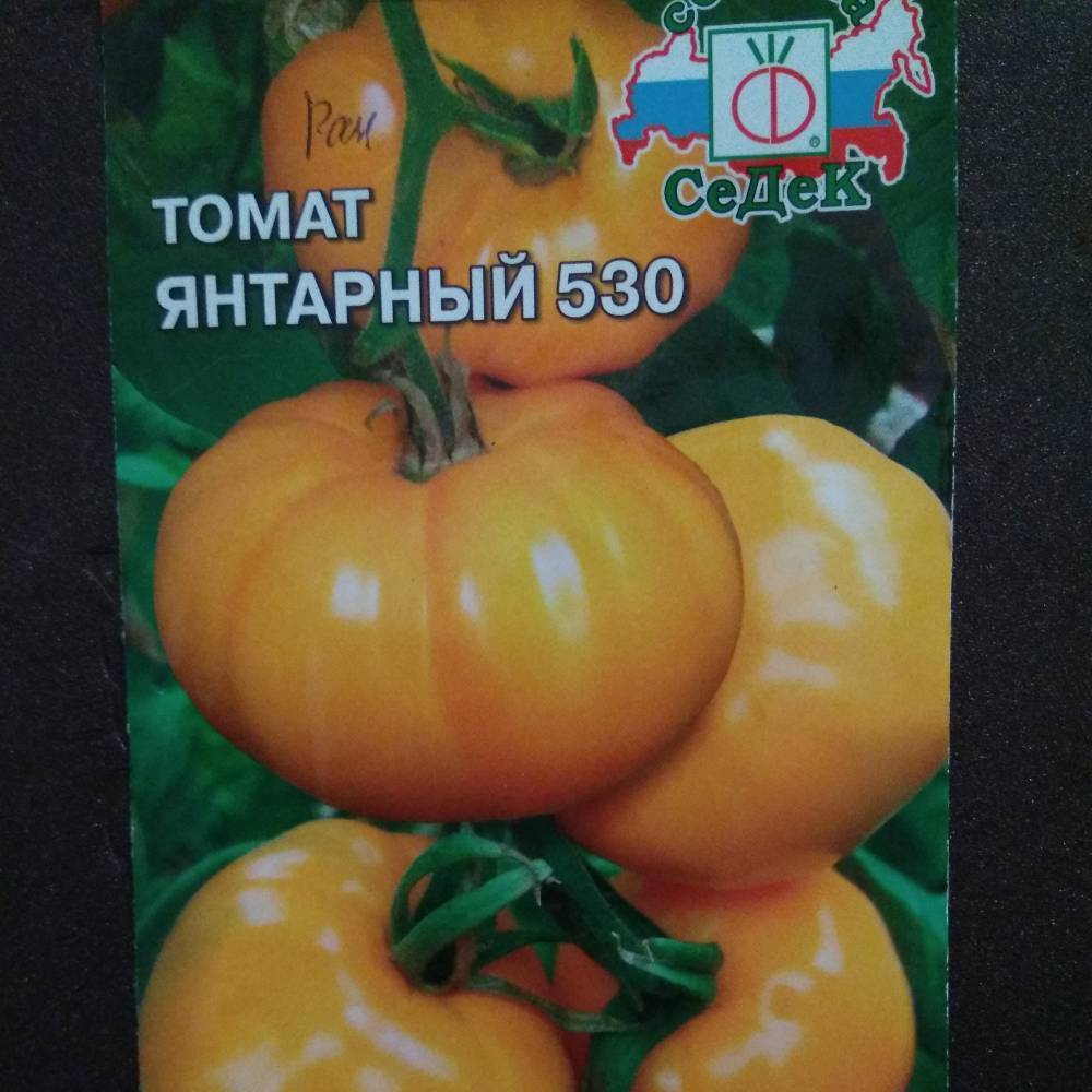 Томат янтарь f1: отзывы о сорте, характеристика и описание помидоров, фото семян