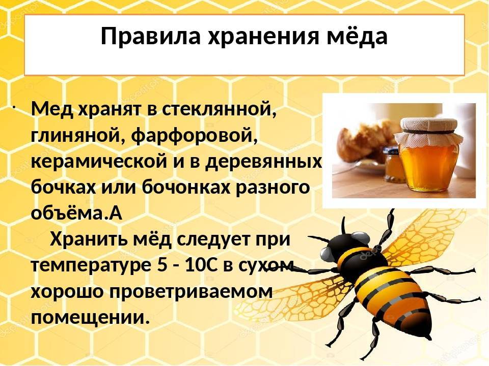 Как правильно хранить мёд для продажи?
