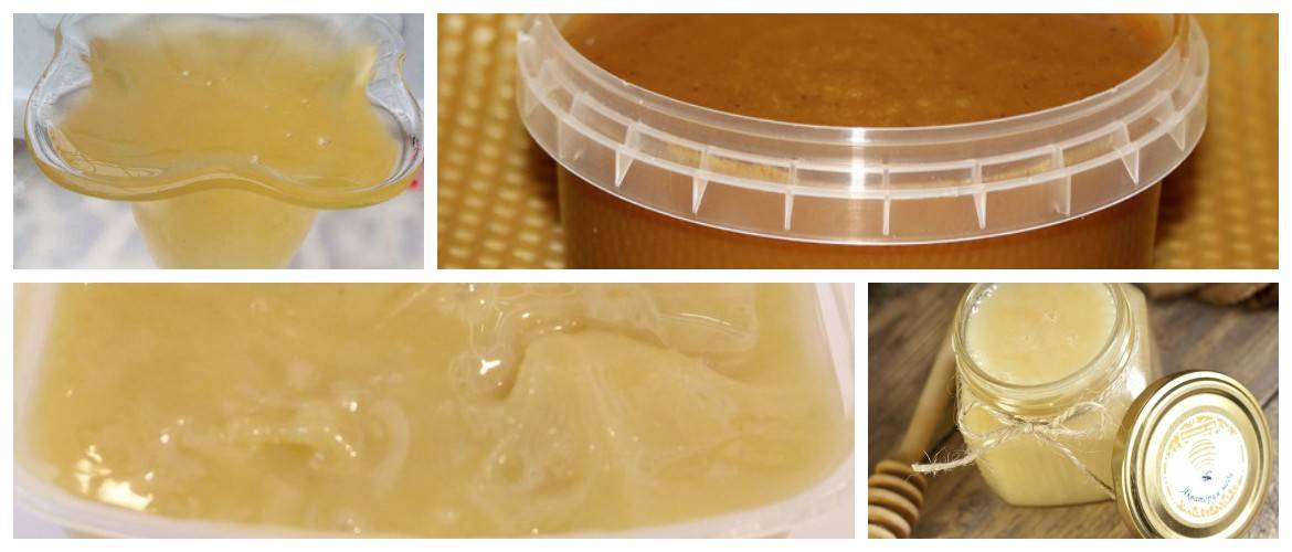 Донниковый мед: полезные свойства и противопоказания, особенности применения