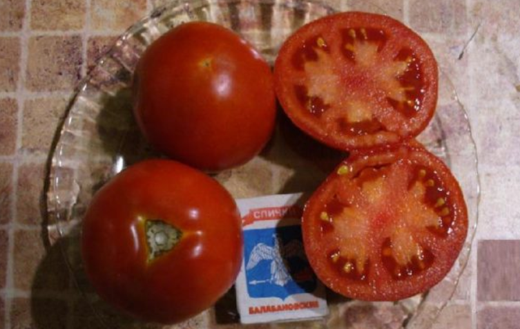 Характеристика и описание сорта томата бетта