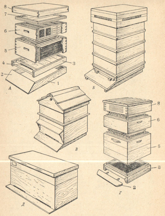 Улей рута: размеры и чертежи, как сделать своими руками, содержание пчёл в улье, фото