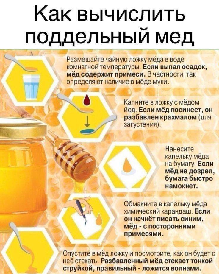 Лечение пчел йодом: использование и профилактика