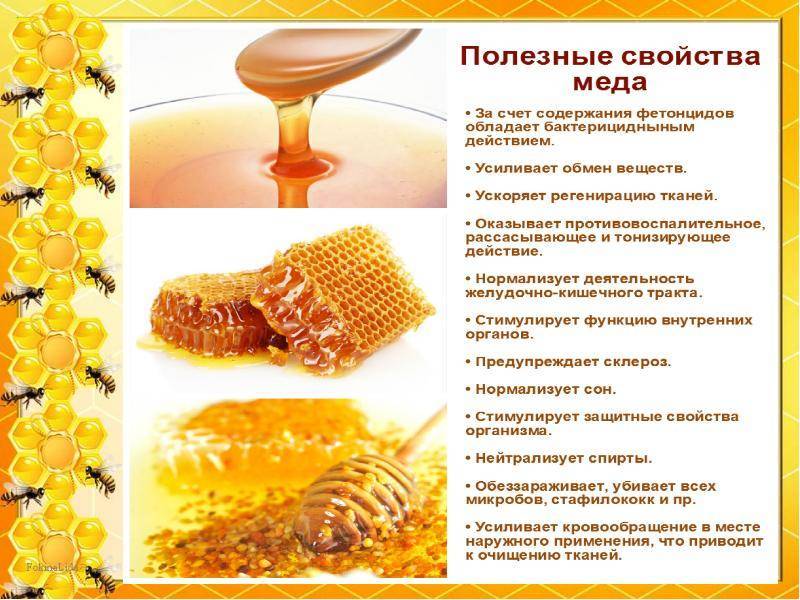 Семь полезных свойств меда