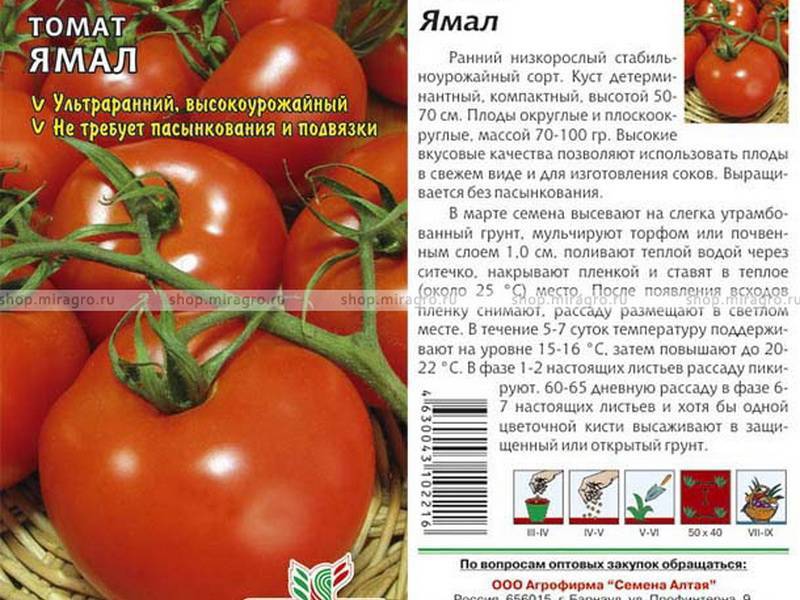 Ранние сорта томатов – самые популярные сорта с описанием характеристик