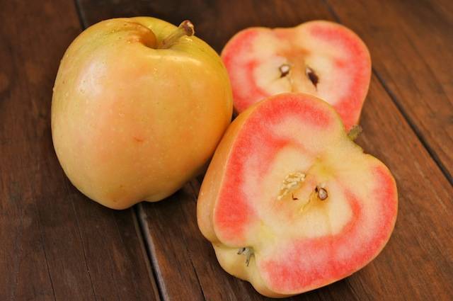 Сорт яблони розовый жемчуг: фото, отзывы, описание, характеристики.