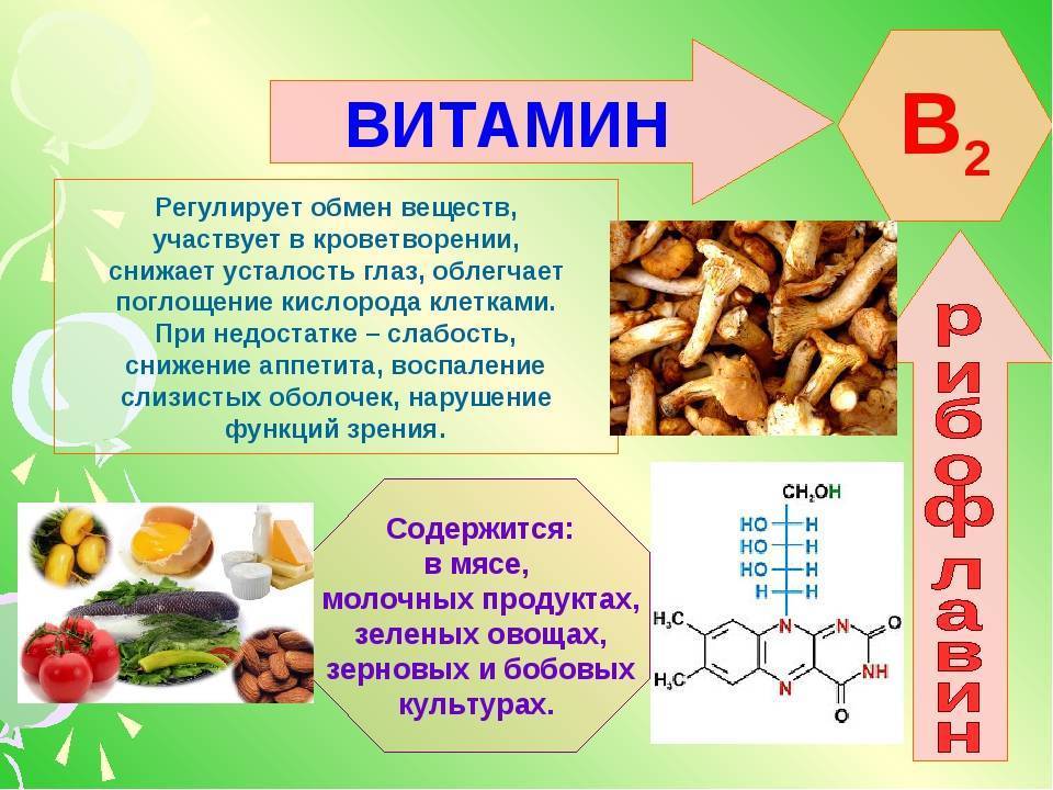 Какие витамины содержатся в меде?