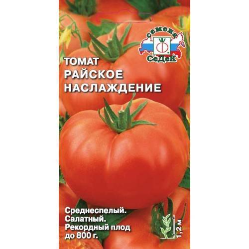 Лучшие сорта высокорослых томатов для теплицы и открытого грунта: топ-35 индетерминантных помидоров