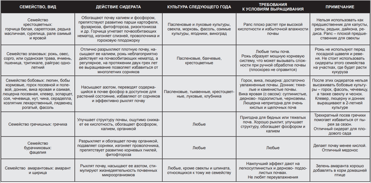 Сидерат летом какой лучше. Растения сидераты таблица. Сидераты для овощей таблица. Таблица посадки сидератов. Таблица сидератов по совместимости с овощами.