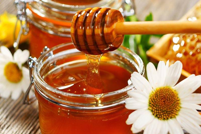 Мед разнотравье: полезные свойства, правила применения, противопоказания