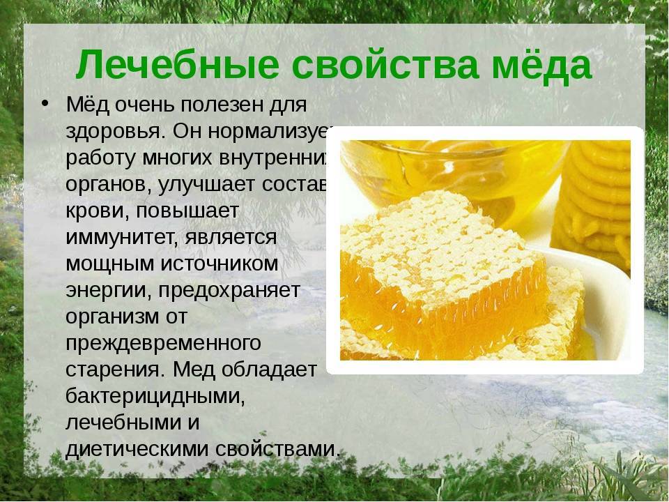 Из чего состоит мед зеленого цвета и в чем его польза